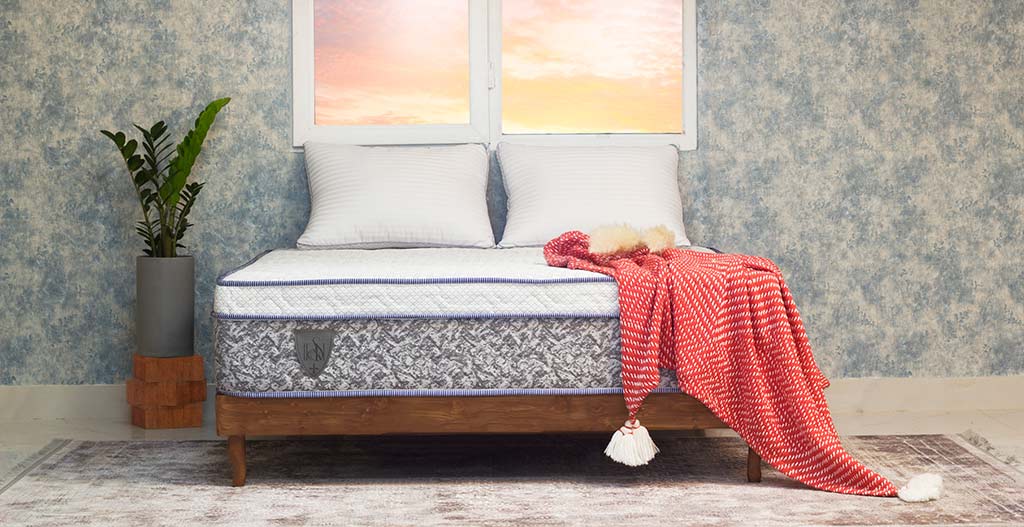 تشک کوئین ایپکسی